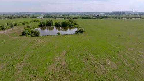 Small Pond and Trees on Green Agricultural Field in Spring