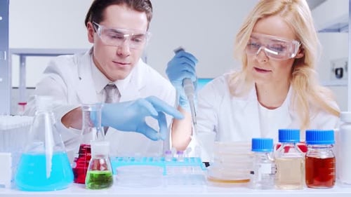 Scientists Working Together in Bright Laboratory