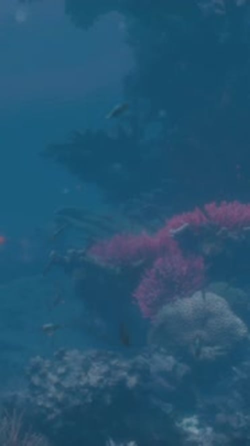 A Coral Reef with Small Fish Swimming Around It