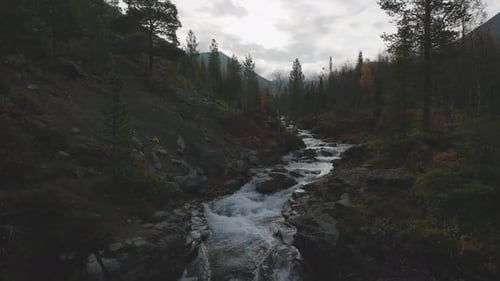 Gebirgsfluss, der durch den Wald fließt, Drohnenblick
