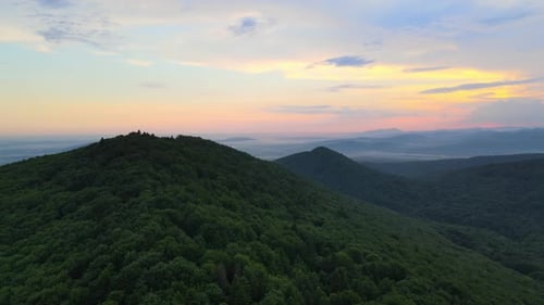 Aerial View of Green Pine Forest with Dark Spruce Trees Covering Mountain Hills at Sunset