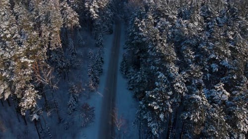 Slowly flying towards the above country road in the middle of the cold snowy winter forest. Cloudy d