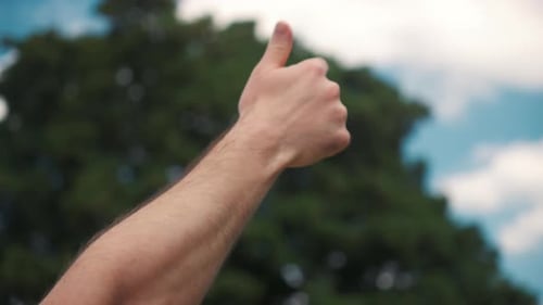 People Hands Pointing Fingers Up at the Blue Sky