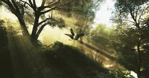 Sunlight Filtering Through Thick Foliage in a Serene Forest Setting