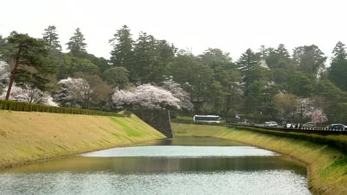 Scenic View Of Kanazawa Prefecture During The Sakura Season - wide shot