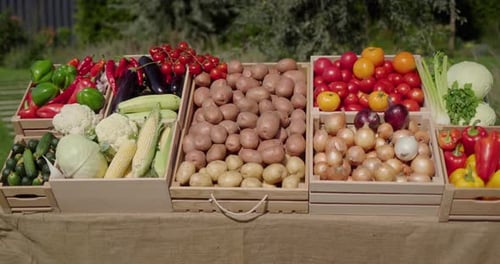 A Stall with Various Vegetables at a Farmers' Market Front View