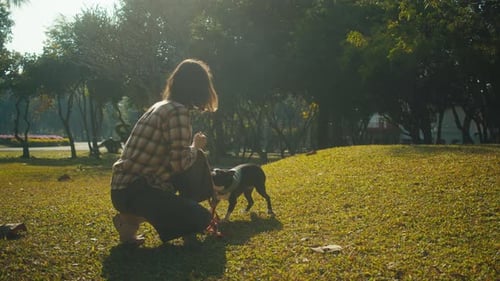 Woman Playing with Dog in Sunny Park