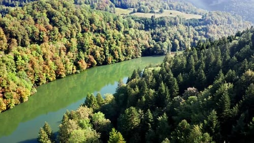 Tranquil Forest Landscape with Green Trees and Reflecting Lake, aerial drone