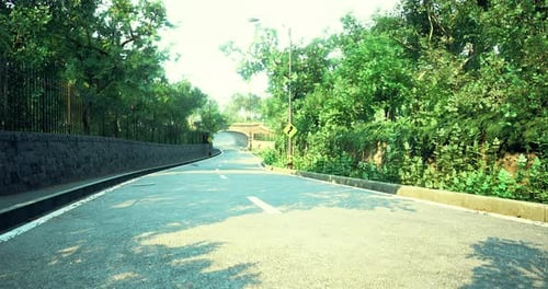 Carretera curva rodeada de exuberante vegetación cerca de un túnel en un día soleado