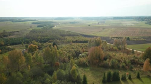 AERIAL: Romantic Landscape of Forest in Europe During Autumn Season