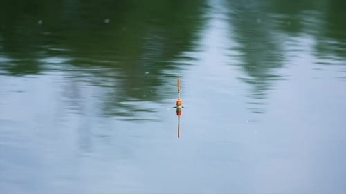 White and orange fishing bobber floating in the river. Unmoving float on still water on cloudy day.