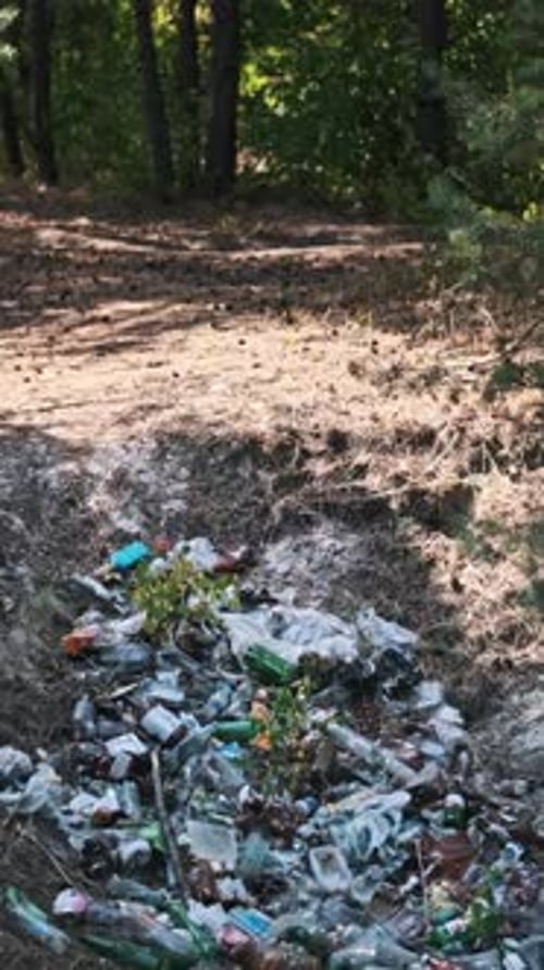 Plastic Waste Pollutes Forest Vertical Video