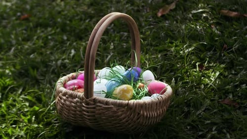Basket with Painted Easter Eggs Easter Egg Hunt Game Theme Colored Eggs in Green Grass to Grab and