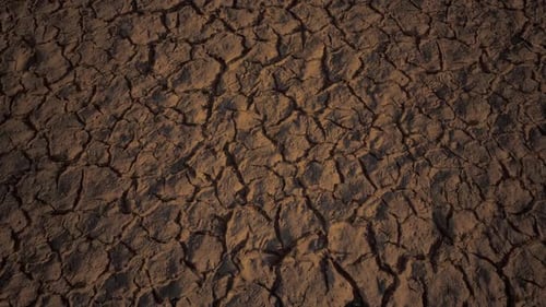 Canal Middle Agricultural Dry By Drought And Heatwave On Summer