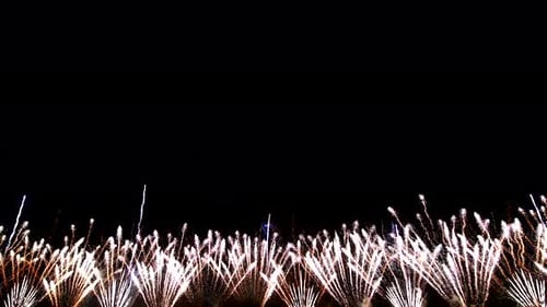 Abstract Firework on Black Night Sky Background 4Th of July Independence Day New Year Eve Christmas