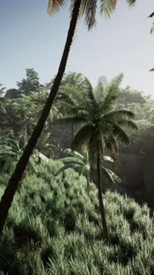 Verdant Forest Teeming With Trees