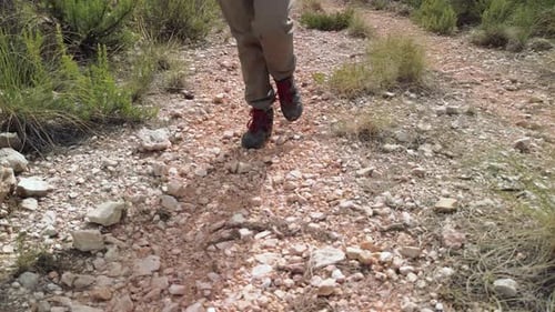 Close-up of a hiker woman's boots walking slowly along a rocky path, surrounded by vegetation