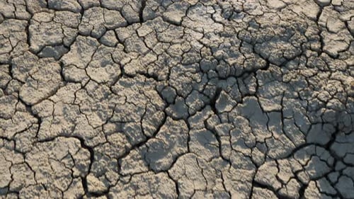 Cracked Earth Texture in Arid Desert Landscape