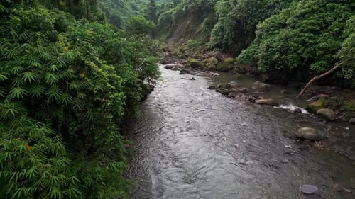 Tropische Flusslandschaft aus der Luft, umgeben von dichter Dschungelvegetation und natürlichem Gelände