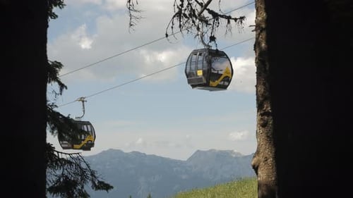 Cable cars gliding between trees with mountain backdrop in daylight