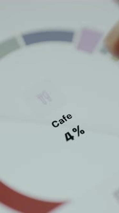 Donut Chart Displays the Percentage Share of Expenses for Cafe and Transport Categories