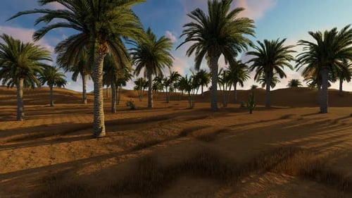 Desert and Tree
