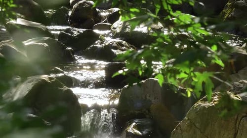 Beautiful waterfall and flowing creek, illuminated by soft sunlight. Surrounded by lush greenery, th