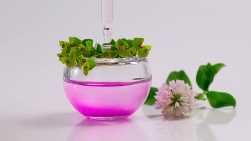 Perfumaria. Produto de óleo essencial. Gotas caindo da pipeta cosmética para o frasco de vidro com perfume