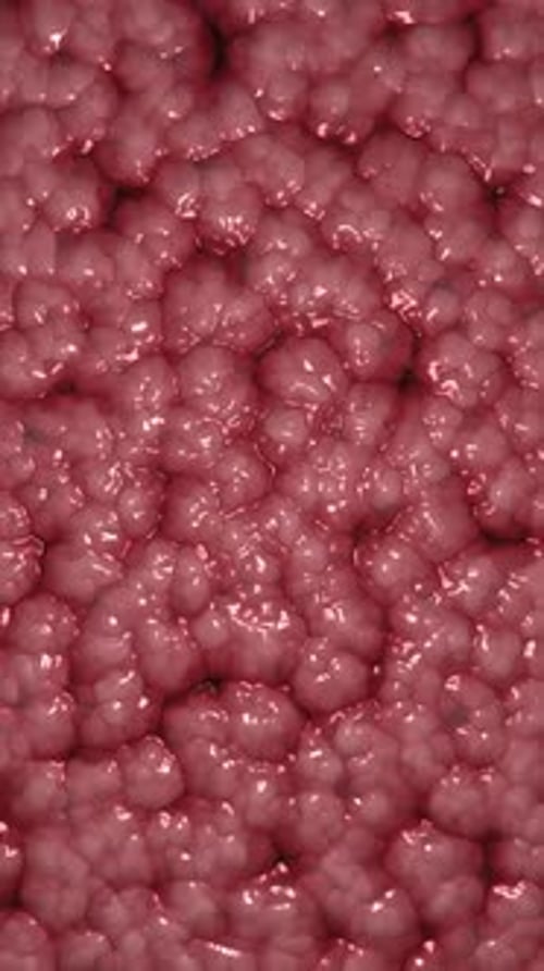 Pulsating Abstract Organic Cells Vertical Seamless Loop Background