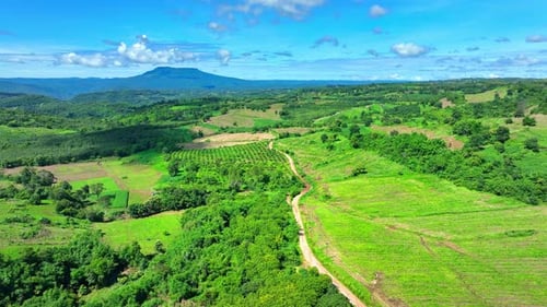 Agricultural area on a hill. Aerial view.