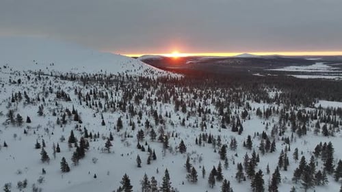 Aerial view of snowy landscape with trees, Finland.