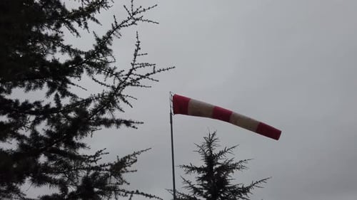 Windsock Waving in the Wind. Trees in the foreground.