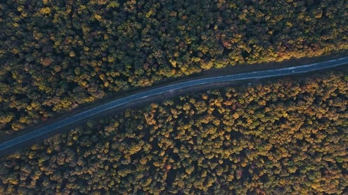 Aerial Top View of the Beautiful Highway That Crosses the Autumn Forest