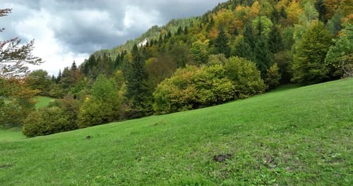 Panorama of Beautiful Countryside of Romania