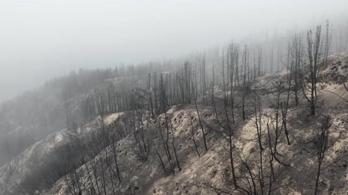 Aerial of a burnt mountainside from a recent wildfire.