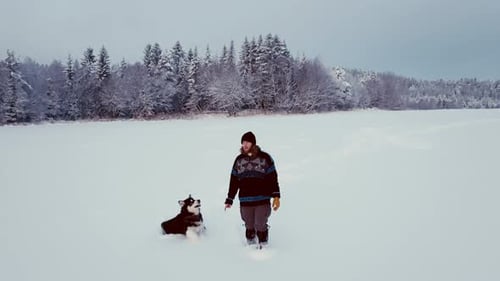 Adult Plays with Husky Dog in Snowy Landscape