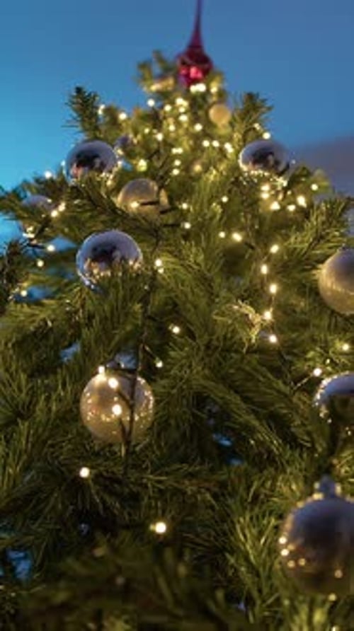 Low Angle Of Christmas Tree Seen From Below In The Room