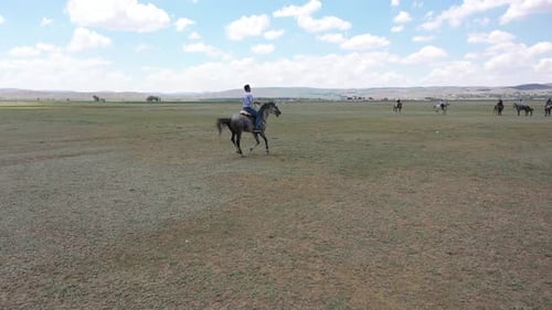Horses Running In Javelin Game With Aerial View