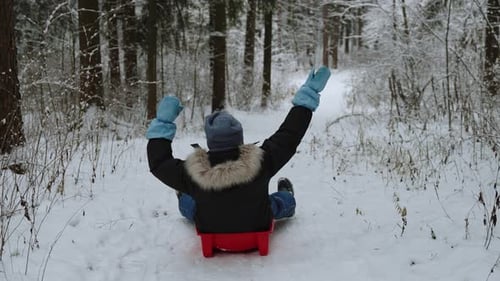 Boy in Warm Clothes Rides Down Snowy Hill in Forest on Red Sled View From Back