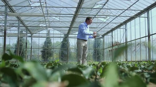 Scientist examining flora in a greenhouse