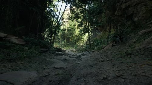 Serene Rocky Forest Pathway at Dawn