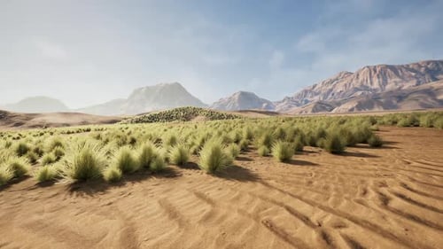 Desert Landscape with Low Bushes and Mountain Range Under Clear Sky