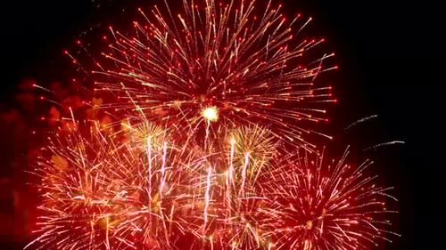 Colorful Fireworks Display Exploding in the Night Sky
