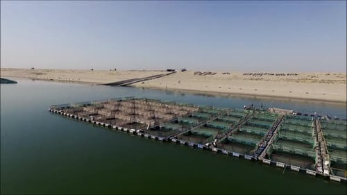 fish pools in the big lake