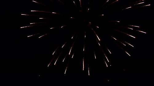 Spectacular Fireworks Display Bursts in Night Sky