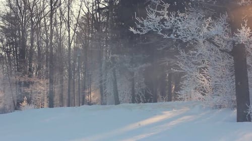 Escena invernal. La luz del sol de la mañana en Winter Park. Amanecer en Winter Park. Panorama