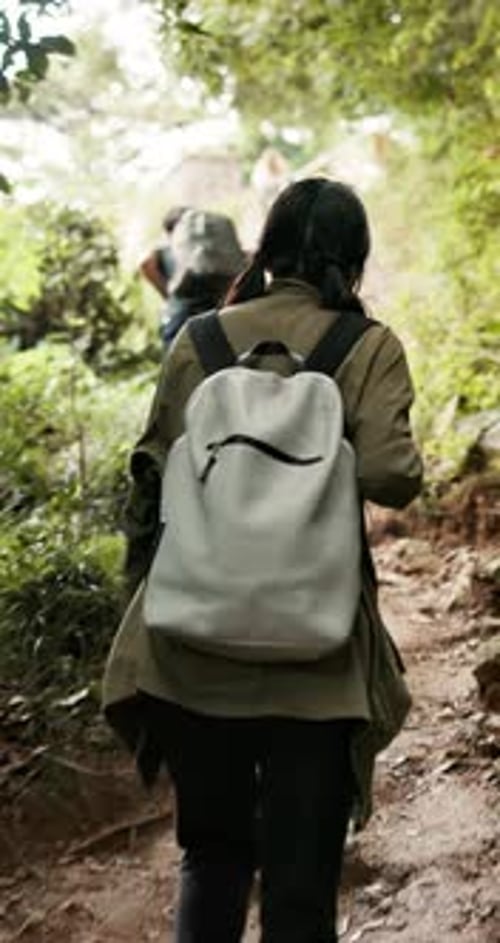 Woman hiking, walking and backpack in nature for vacation, travel or journey in Japan