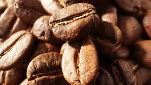 Beautiful coffee beans. Close-up macro video. 4K