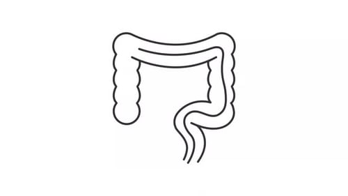 Animated colonoscopy line icon