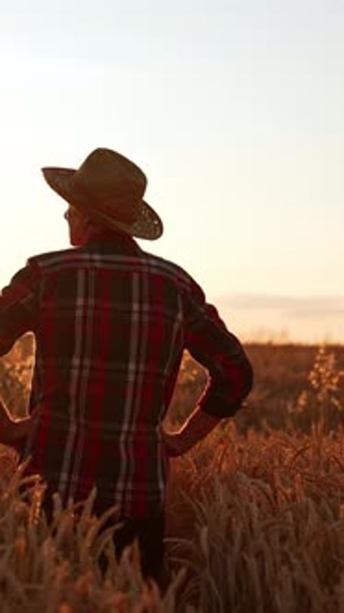 Male farmer in a hat stands in the field with his hands on the hips.